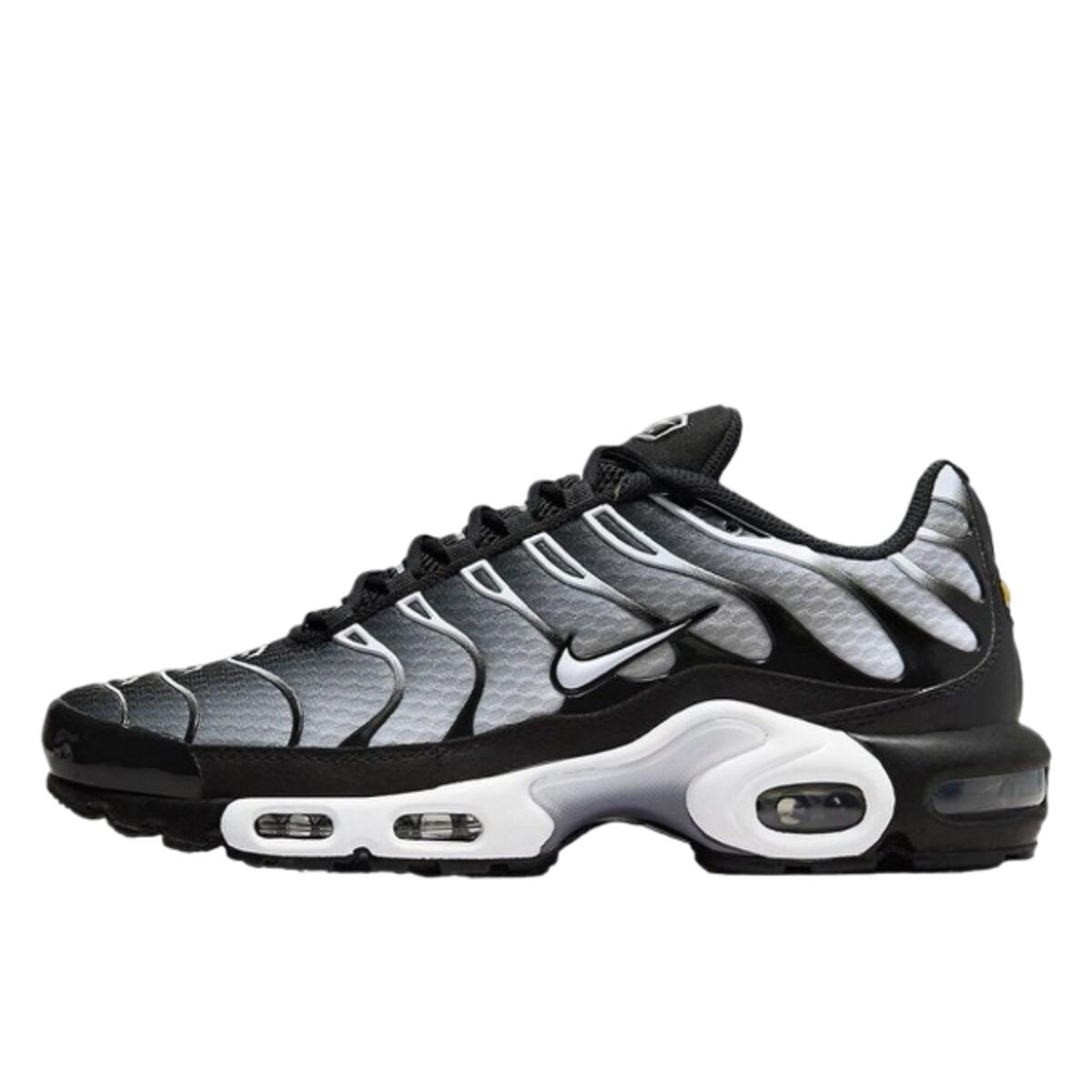NIKE Shoes  Air Max Plus Black Metallic Silver