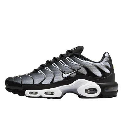 Zapatillas Air Max Plus Black Metallic Silver