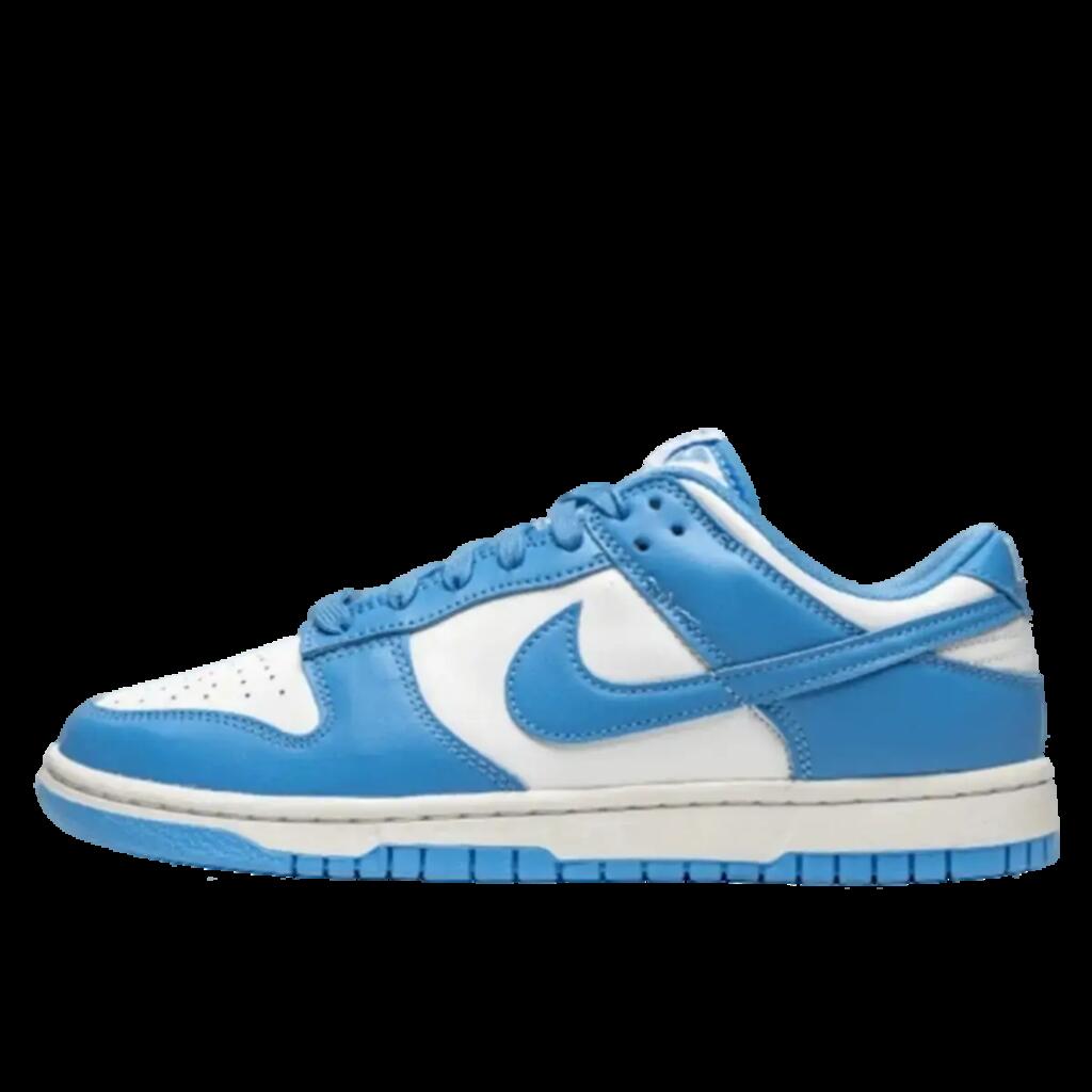 Trainers Male Nike Dunk Low Blue