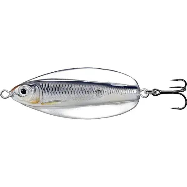 LIVE TARGET picture