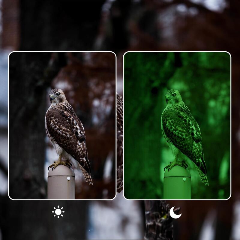 Caméra de Chasse avec Vision Nocturne - WiFi - 4K - 48MP - Étanche - WCT8026