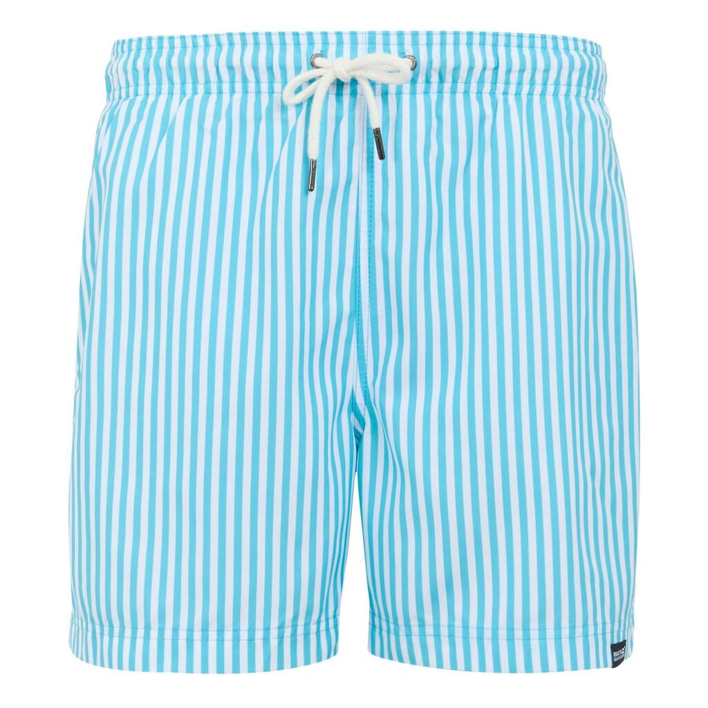 Mens Loras Striped Swim Shorts (Aquarius Blue)
