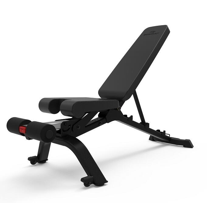 BOWFLEX picture