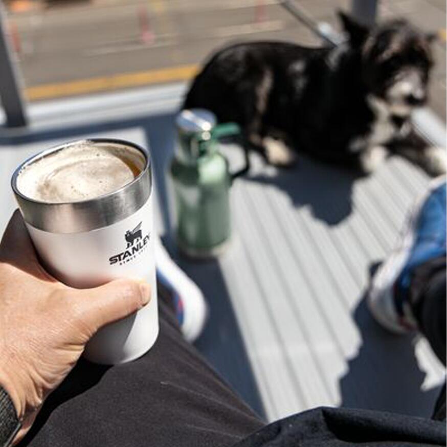 Thermosbeker 0,47L Kamperen RVS Geïsoleerd Glas Reismok Thee Soep Koffie Camping 6/9