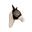 Masque anti-mouche skin friendly avec oreilles noir cob