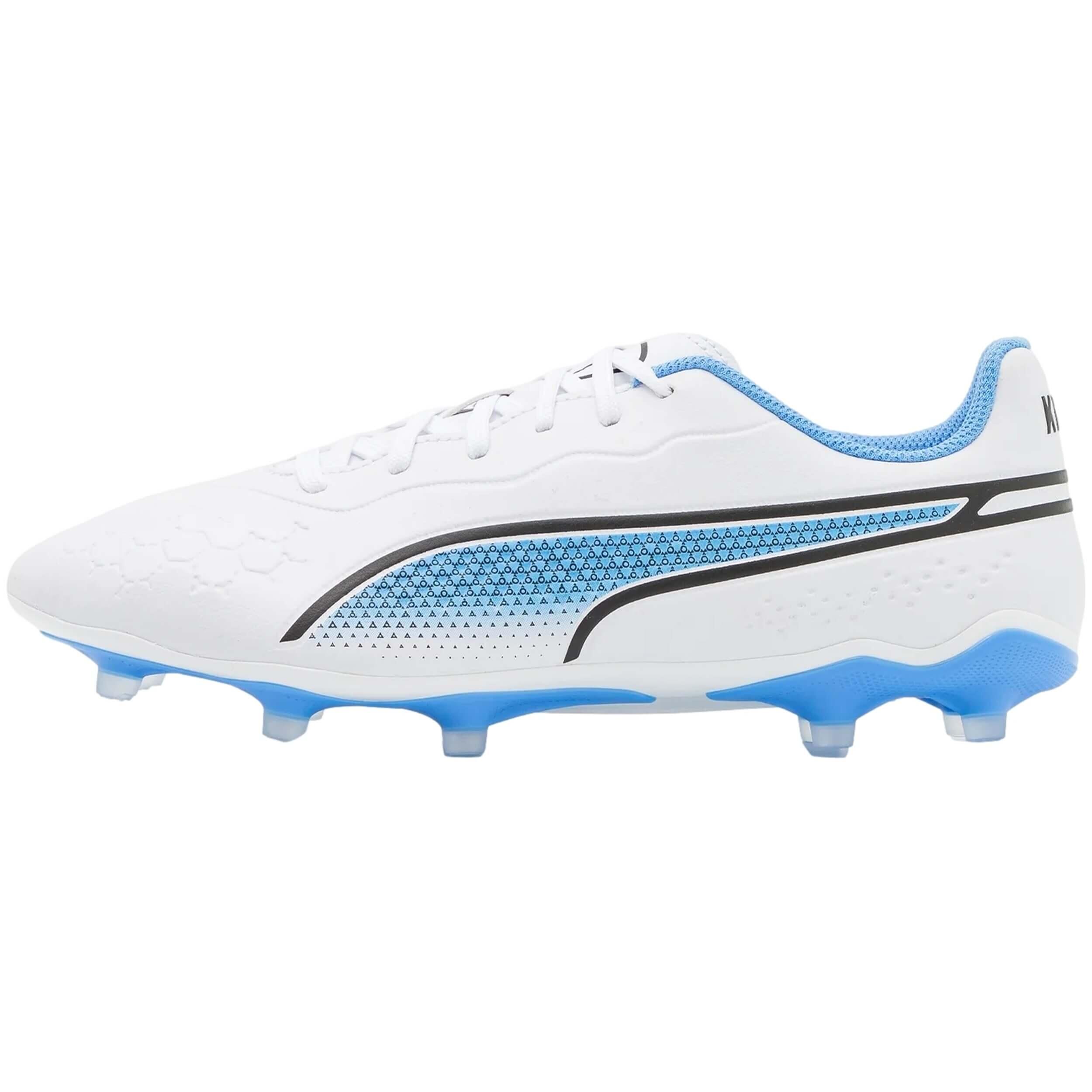 PUMA picture