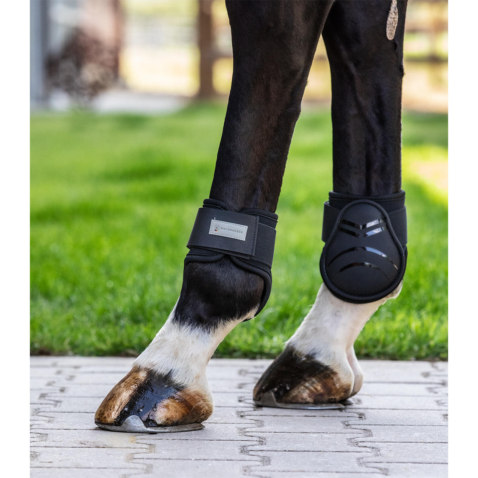 Horse knee boots Waldhausen Basic Plus 2/2