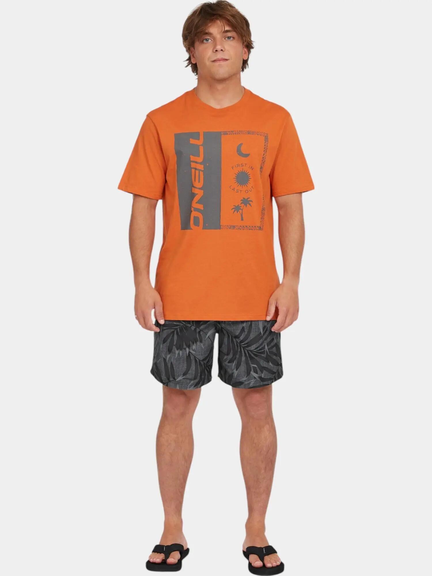 Férfi rövid ujjú póló O'Neill Front Print T-Shirt 3/7