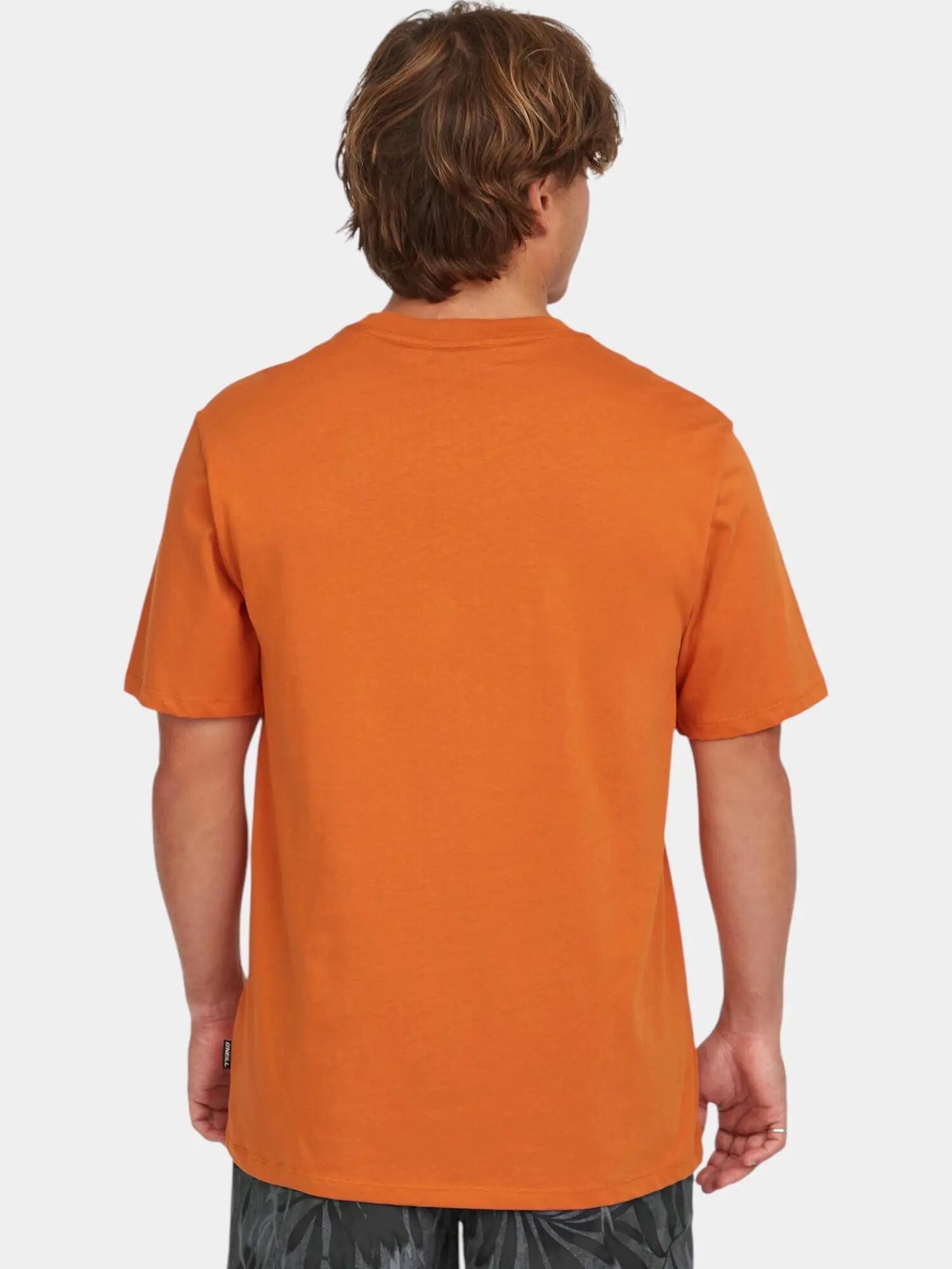 Férfi rövid ujjú póló O'Neill Front Print T-Shirt 2/7