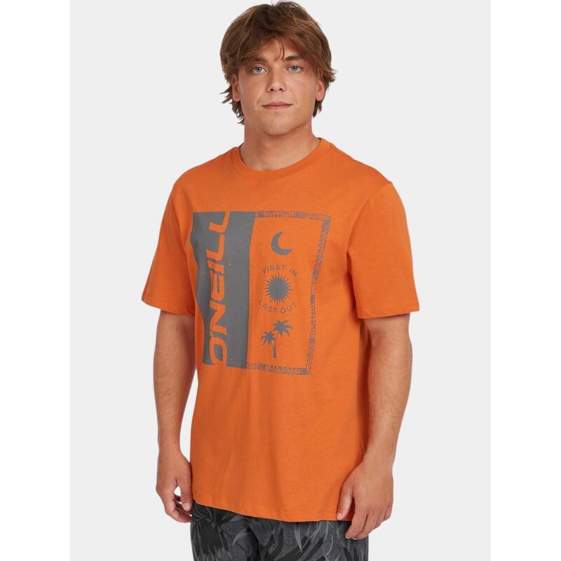 f3366cc5-950e-43a5-8799-284398de78a3_c197