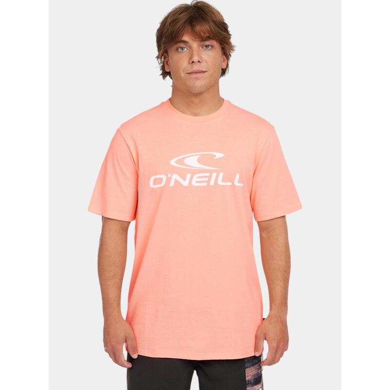 64ed76c0-7c2b-4dfe-8883-6c438d6f66db_c197