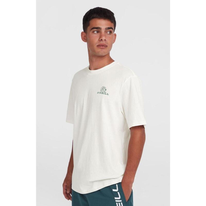 133eee83-eab3-4a8b-b14e-976b00747a38_c4