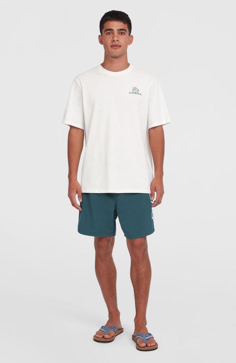 O'NEILL O'neill T-Shirts GLOBAL T-SHIRT HEREN Snow white 4/7