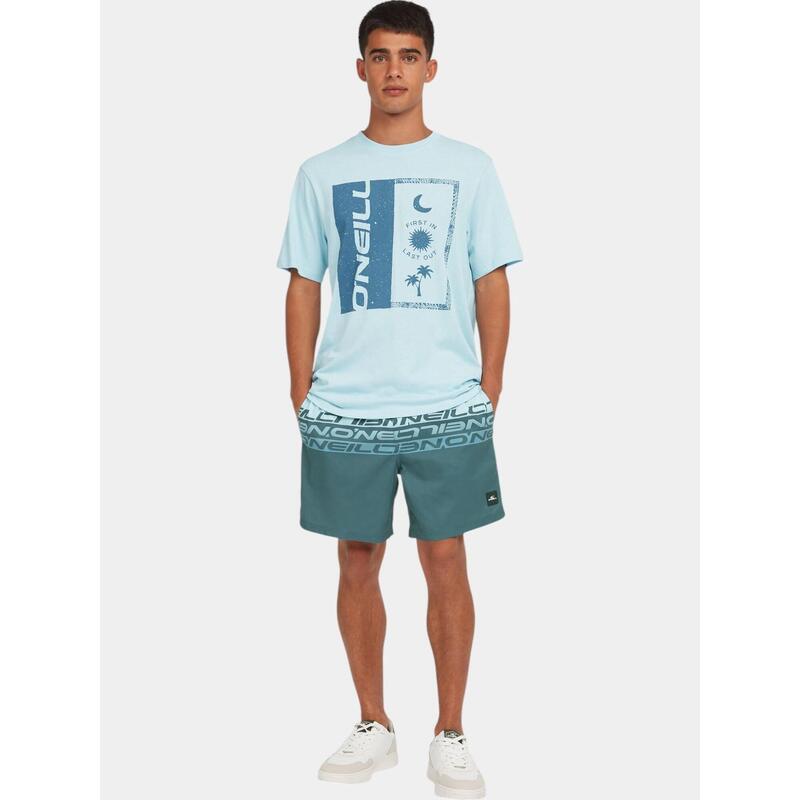 f3366cc5-950e-43a5-8799-284398de78a3_c166