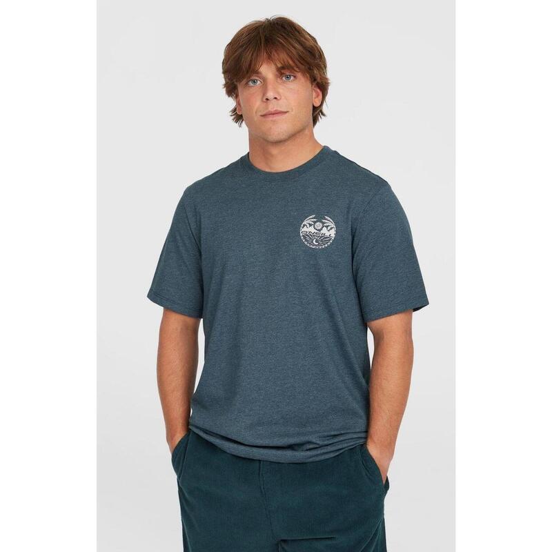 b5eeb056-8966-4045-96fb-02250bdd75a9_c5