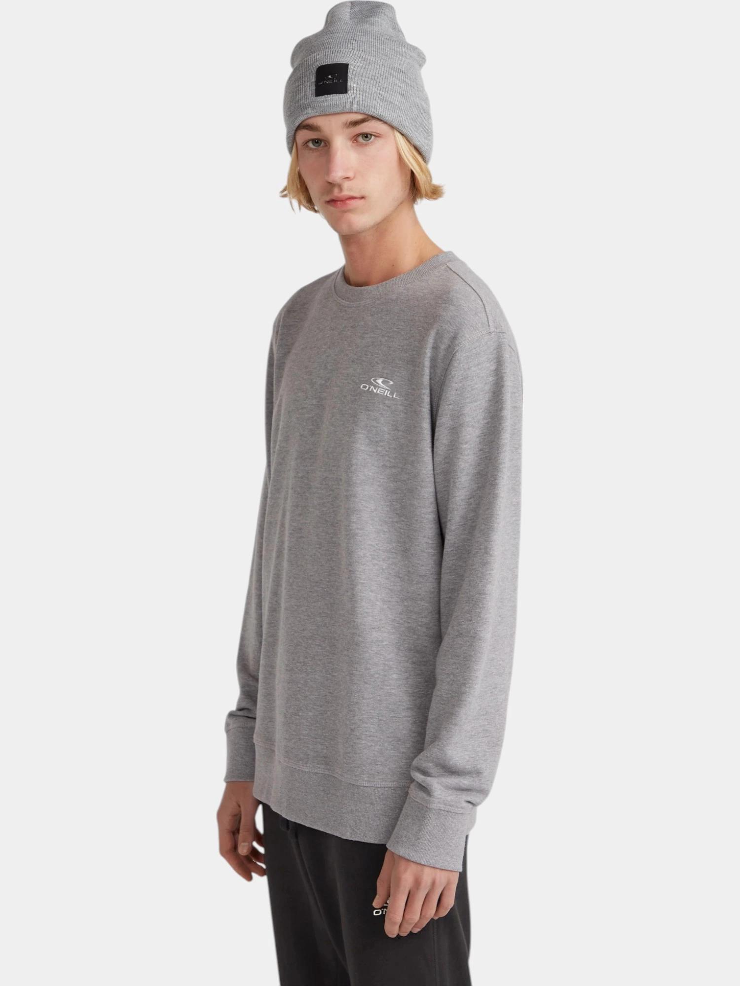 Pull-over hommes Small Logo Crew 2/7