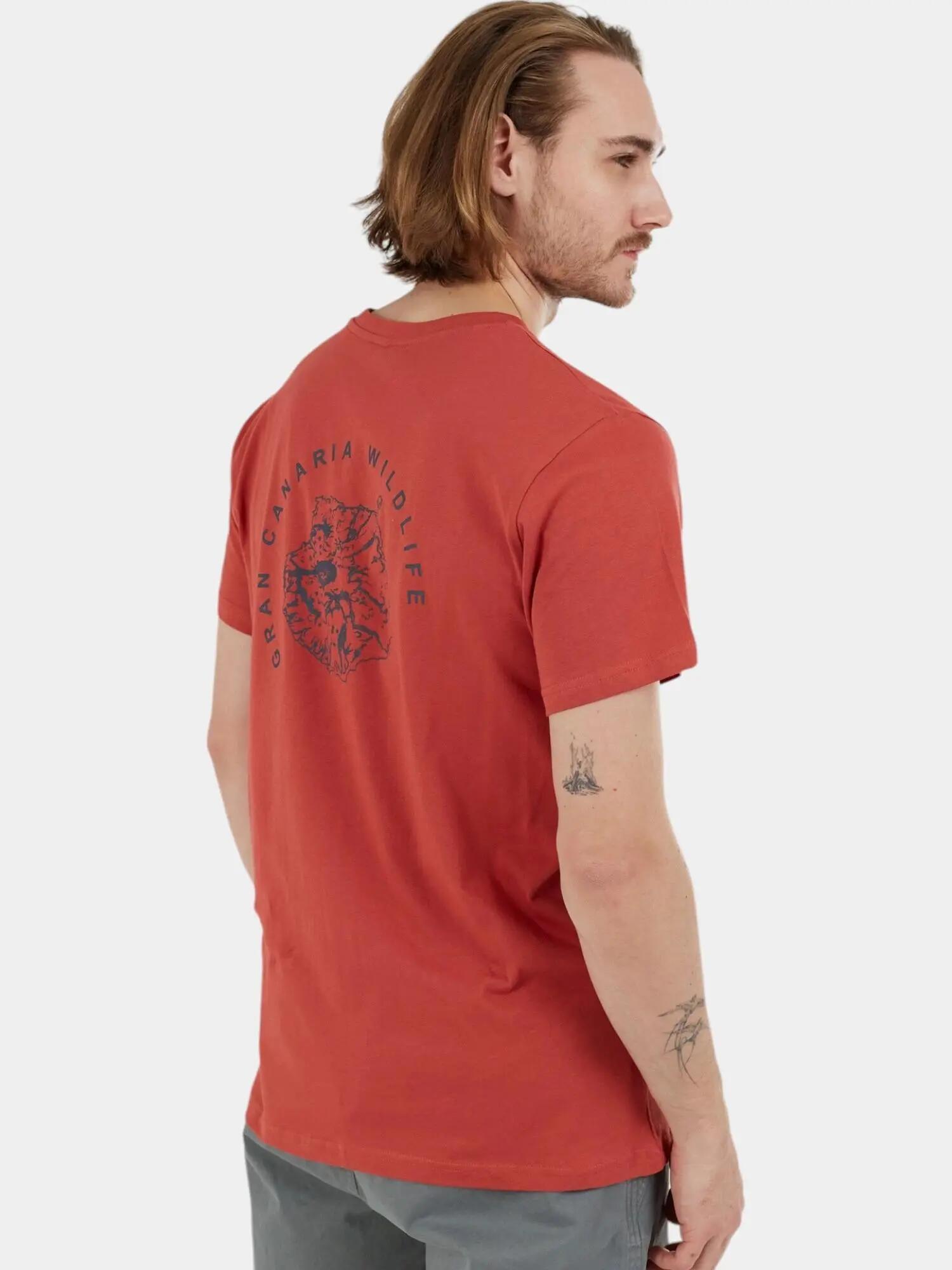 Férfi rövid ujjú póló Peak Graphic-T 5/7