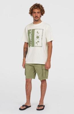 O'neill o'neill shorts essentials cargo shorts heren avery fern