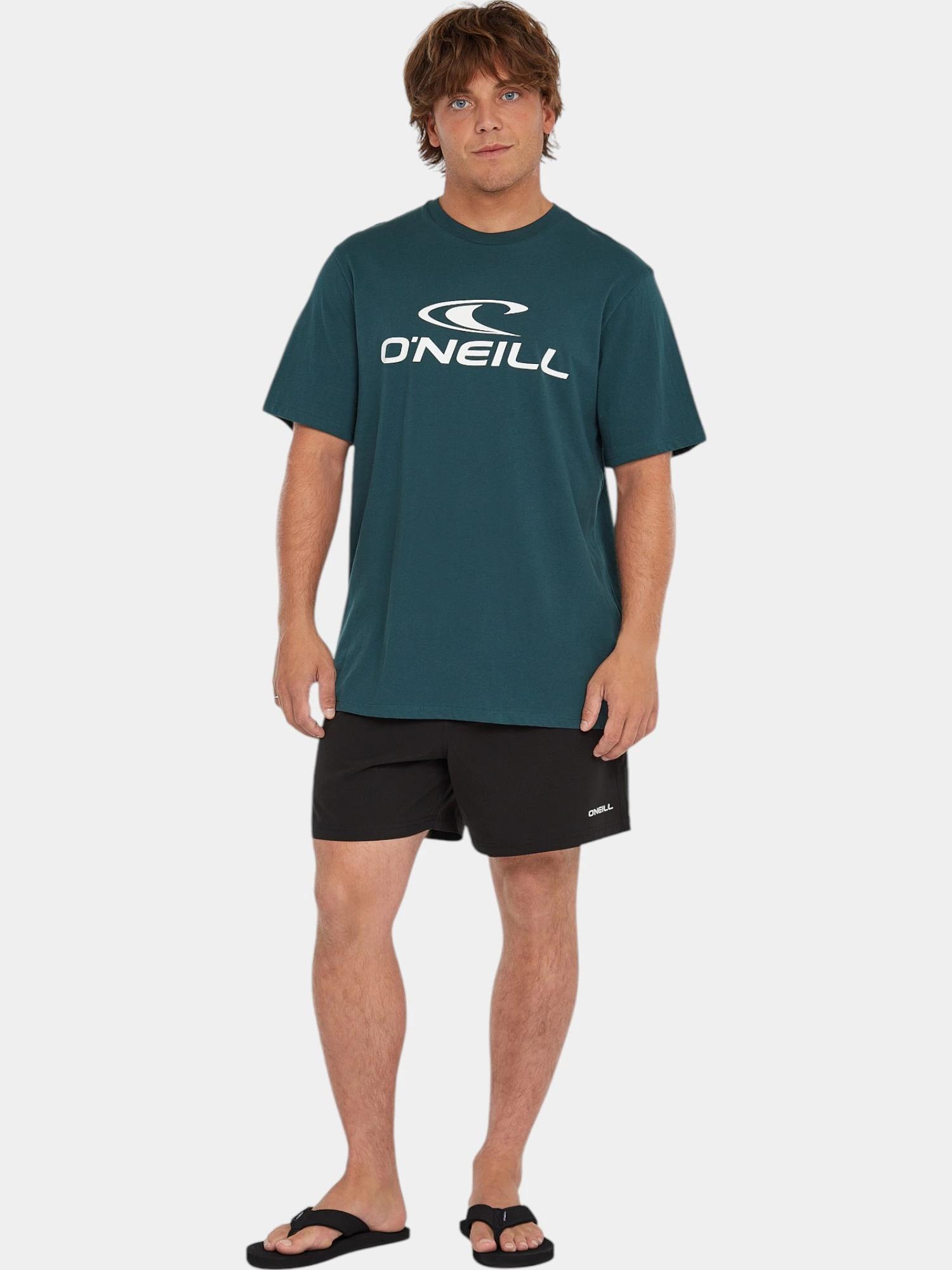 Férfi rövid ujjú póló O'Neill Logo T-Shirt 3/7