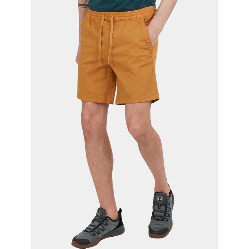 93226b0d-c7ce-46a8-a219-f576784a7592_c22