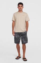O'NEILL O'neill Shorts ESSENTIALS CARGO SHORTS Hommes Avery Fern