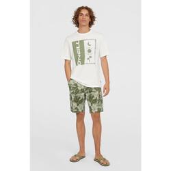 O'NEILL O'neill Shorts ESSENTIALS CARGO SHORTS Hommes Green Tonal Dusty Flower