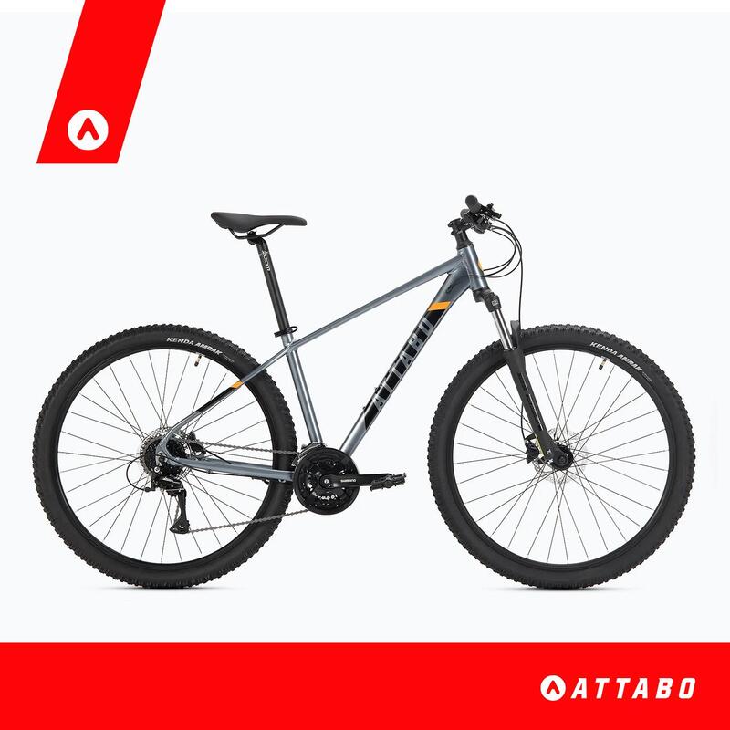 VTT homme ATTABO ALPE 3.0
