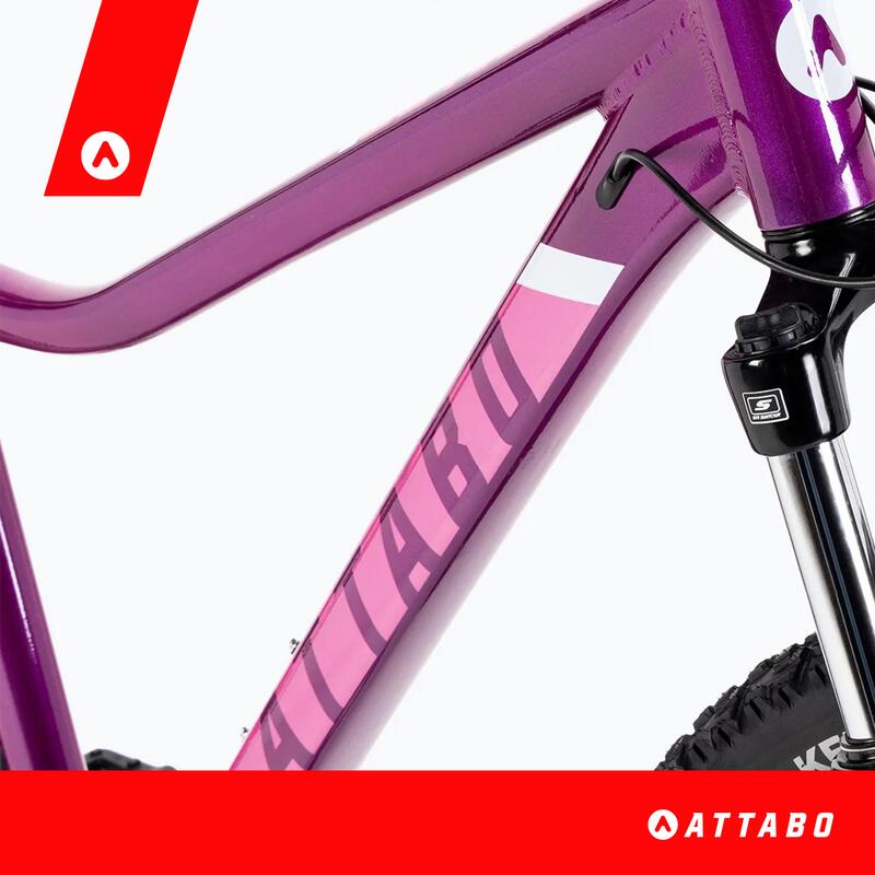 VTT femme ATTABO ALPE 3.0