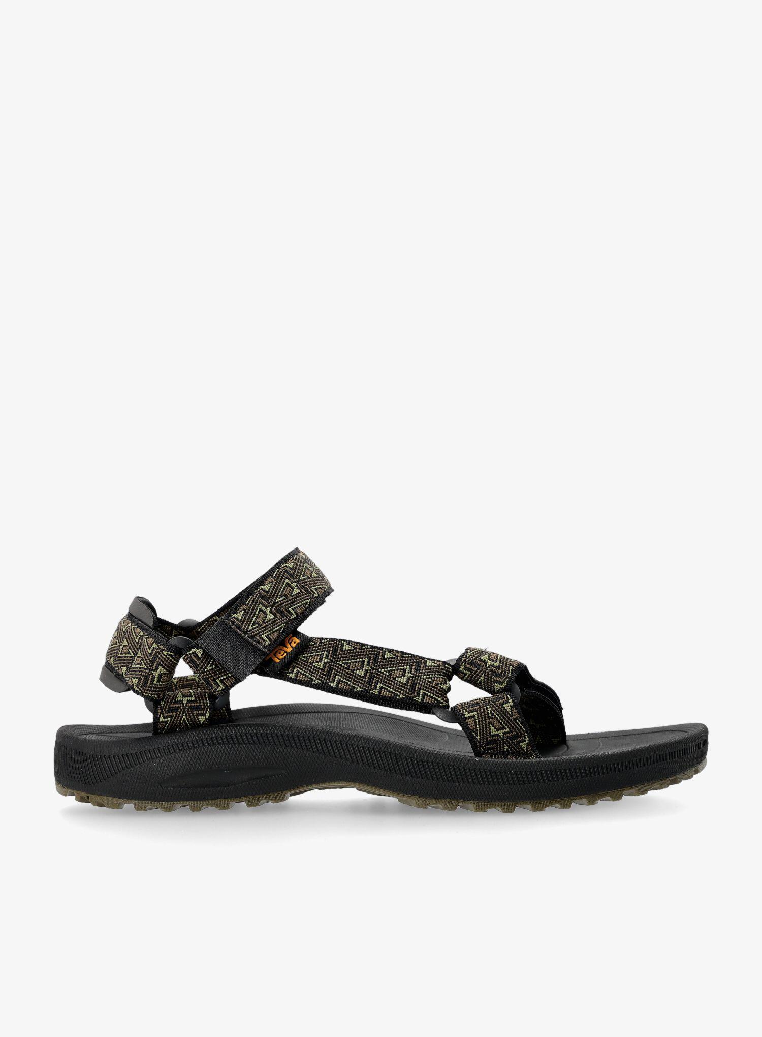 TEVA picture