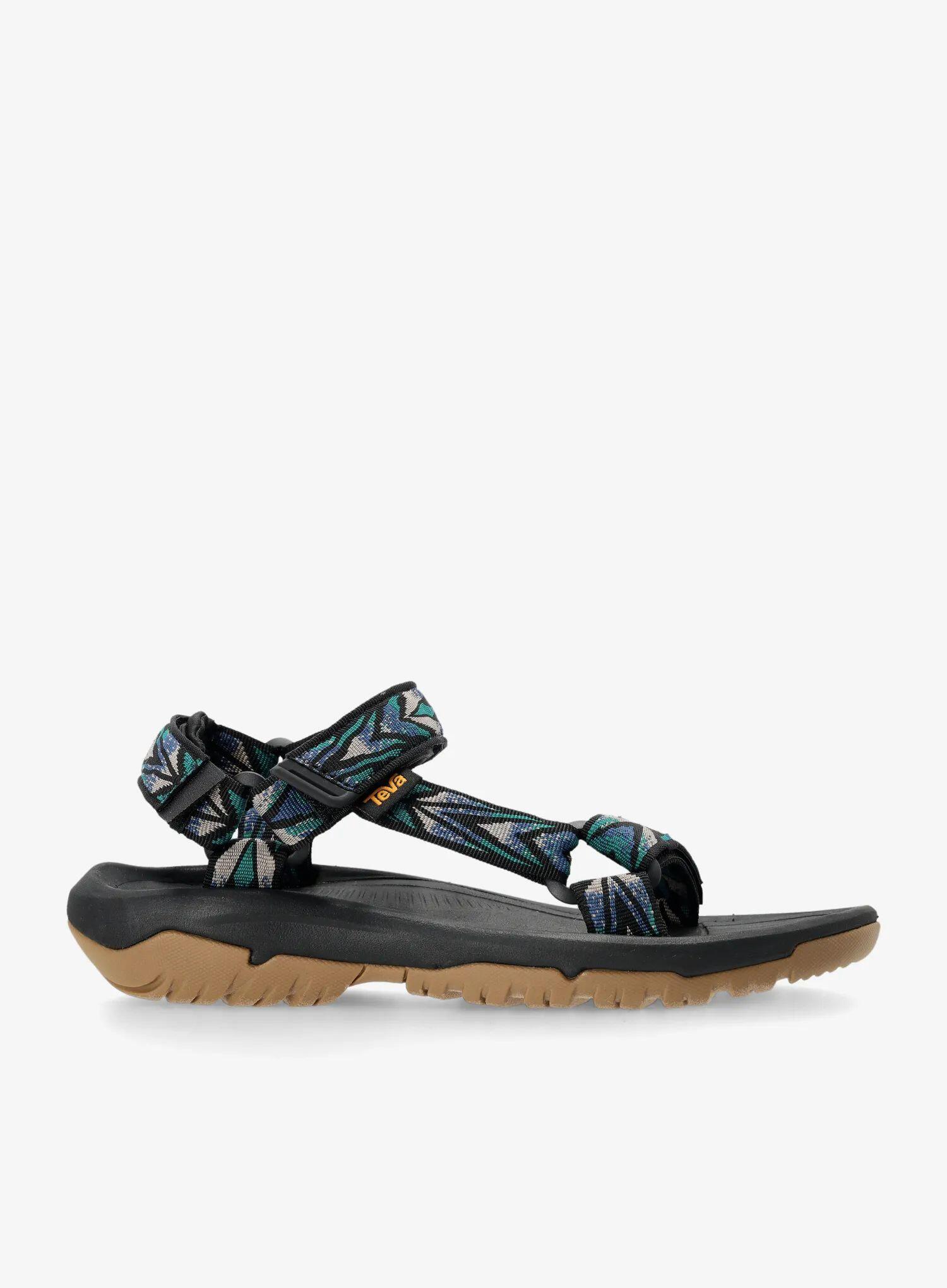TEVA picture