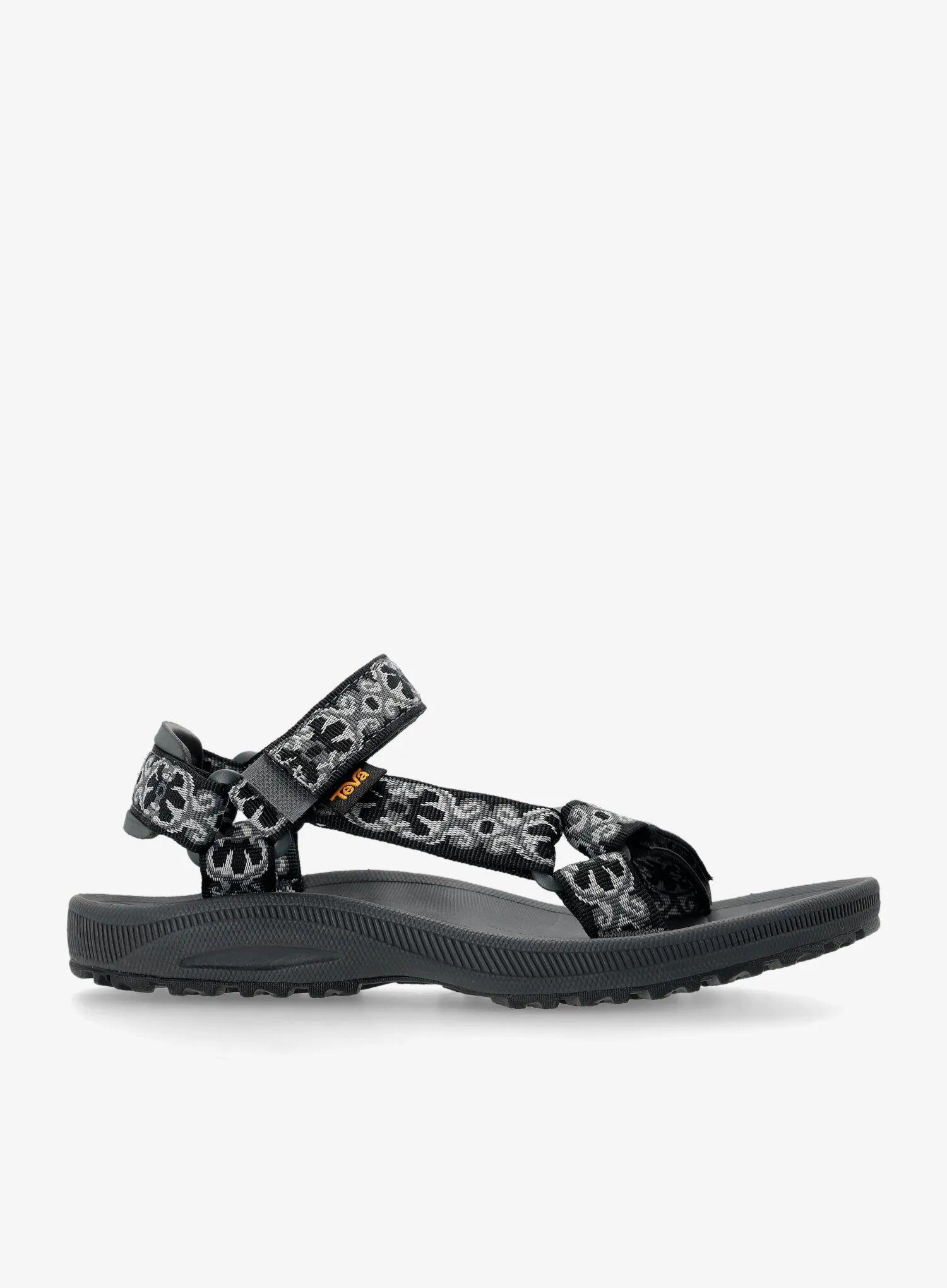 TEVA picture
