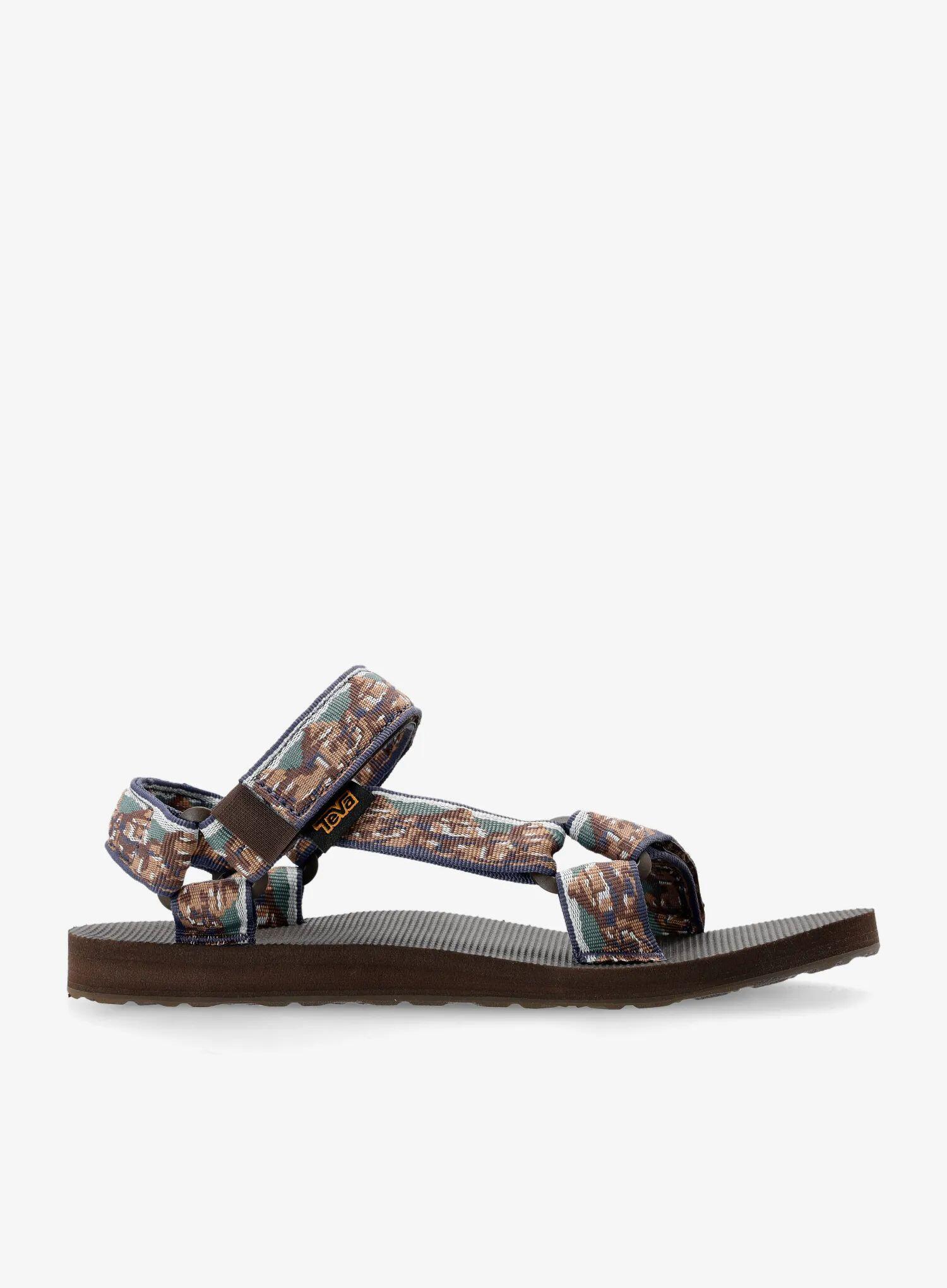 TEVA picture