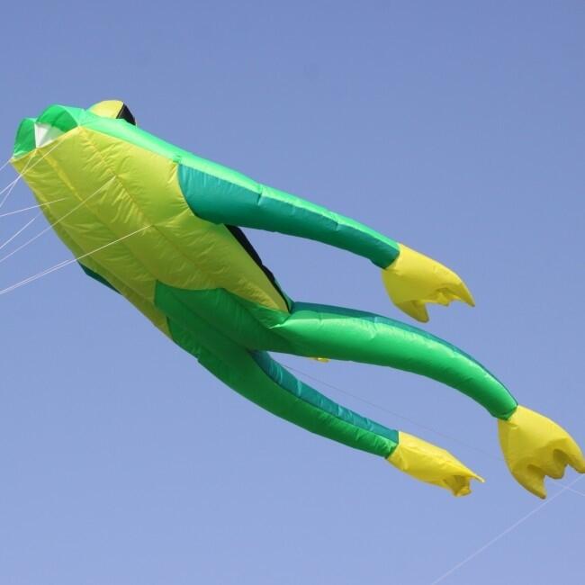 Einleiner Drachen Wolkensturmer Fritz the Frog XL 160635 Grün 480 x 150 cm 7/7
