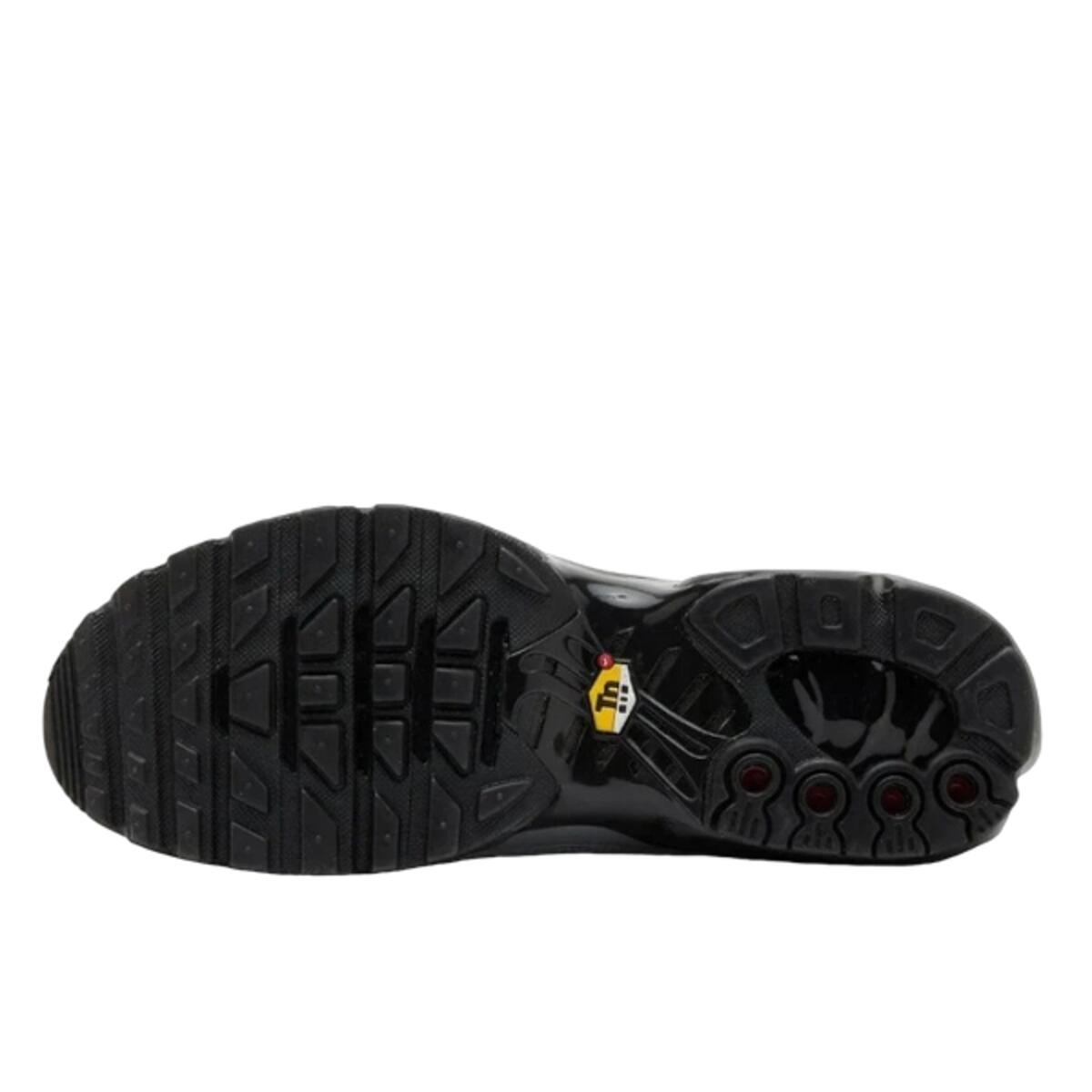 Chaussures  Air Max Plus Tiempo Wolf Grey Black 4/4