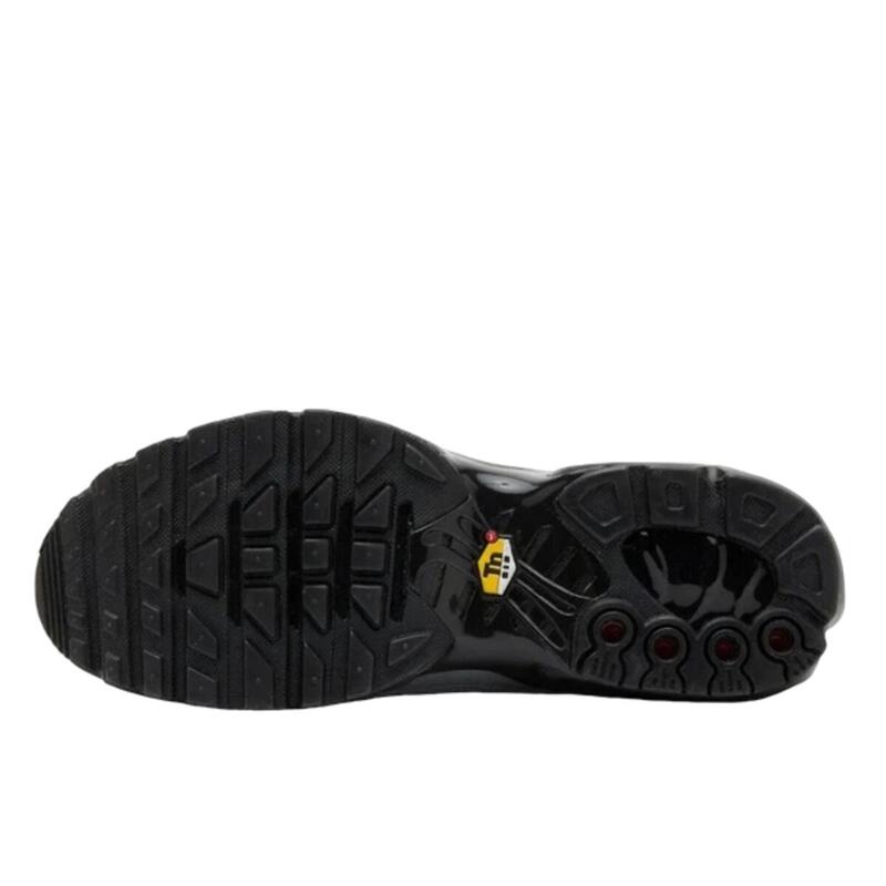 Air Max Plus Tiempo Wolf Grey Black