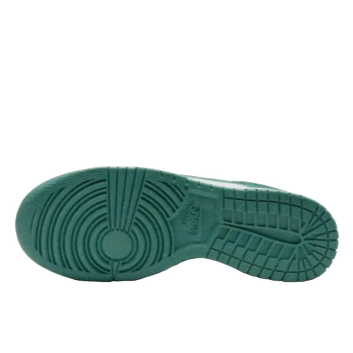 Nike Dunk Low Next Nature Bicoastal 3/5