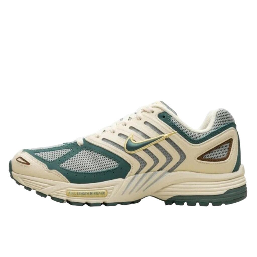 Shoes  Air Peg 2K5 Bicoastal