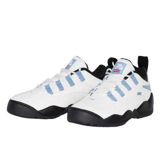 Zapatillas SB Darwin Low Supreme Sail