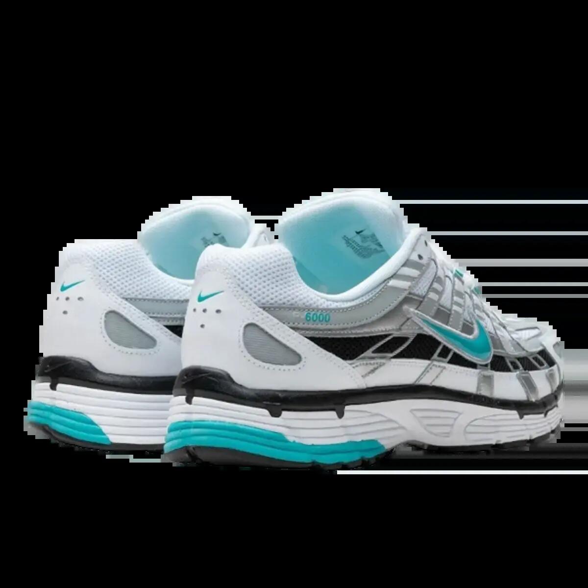 P-6000 Dusty Cactus 3/4
