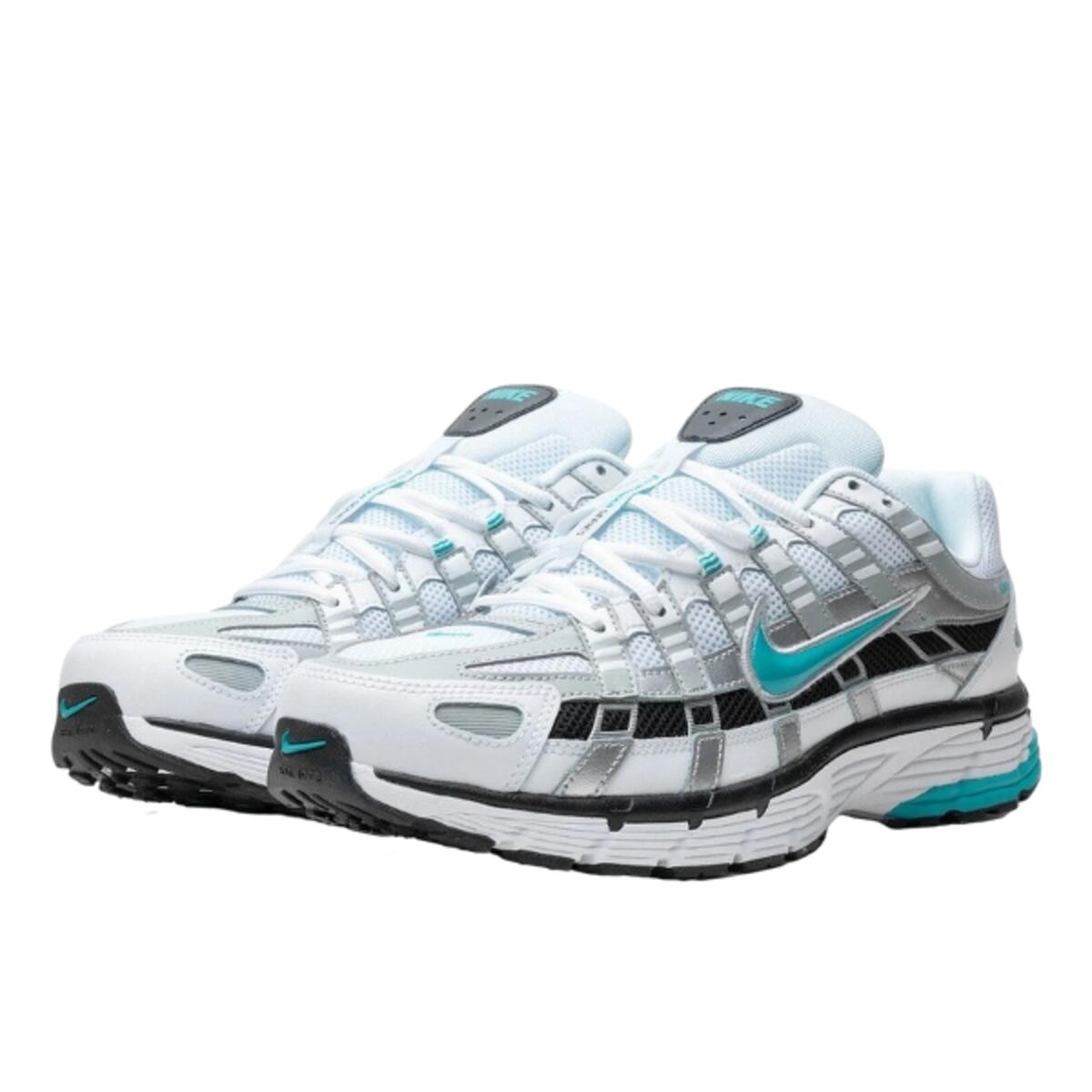 P-6000 Dusty Cactus 2/4