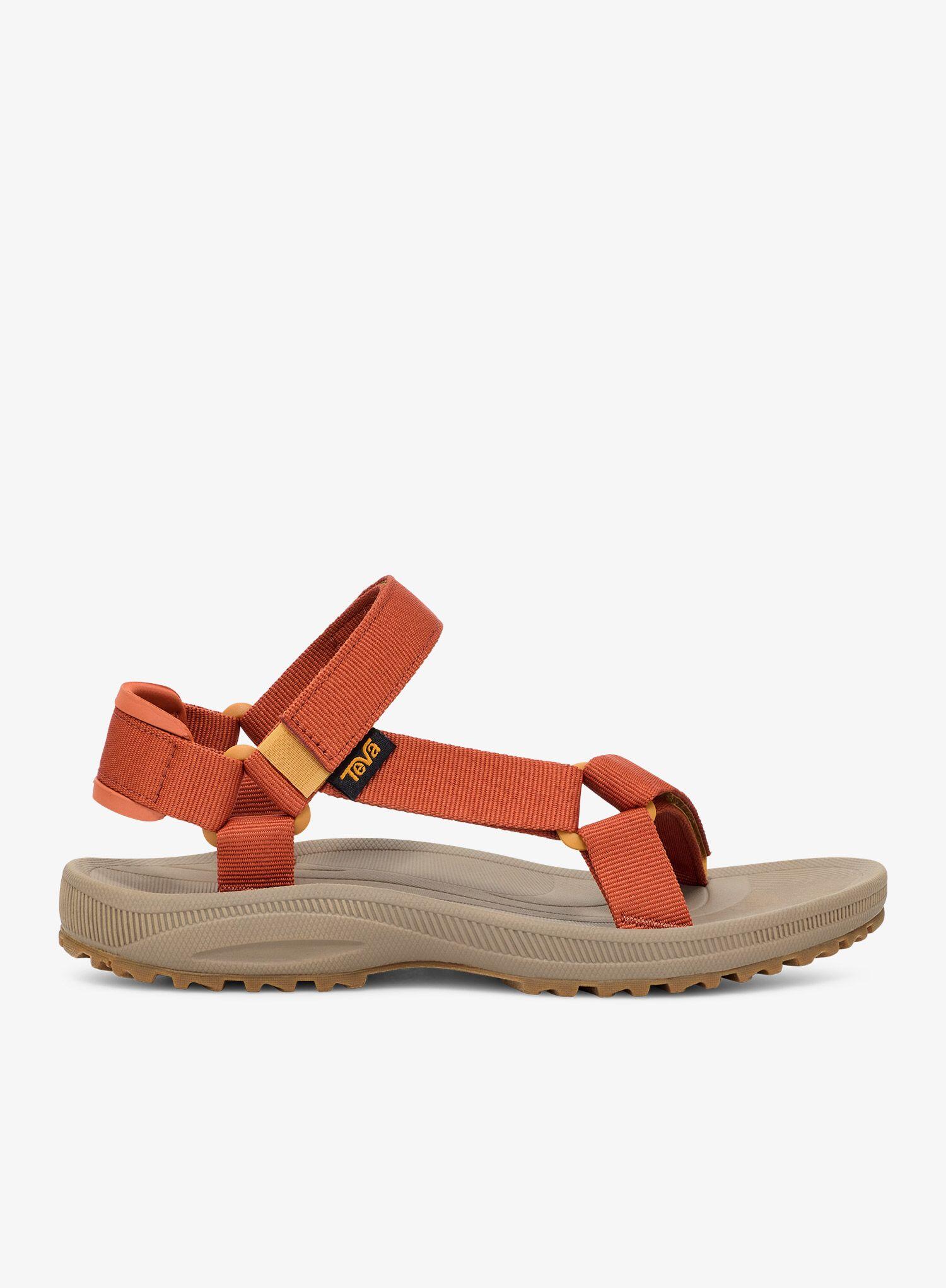 TEVA picture