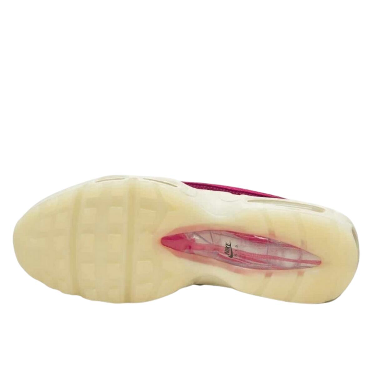 Zapatillas  Air Max 95 Anatomy of Air 3/3