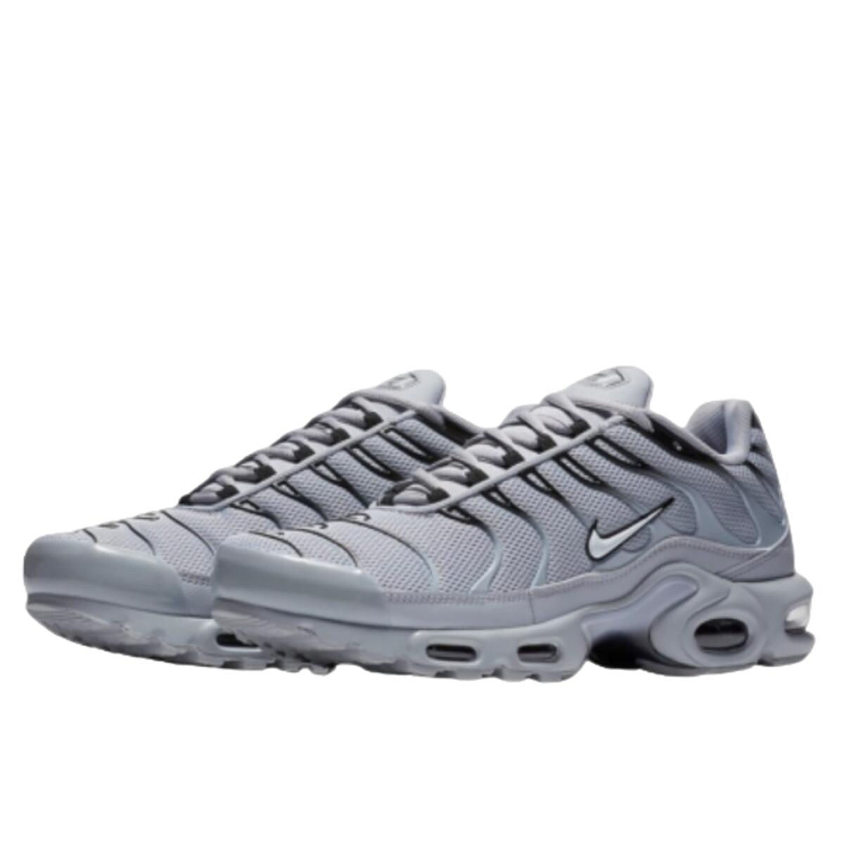 Chaussures  Air Max TN Plus Wolf Grey 2/3