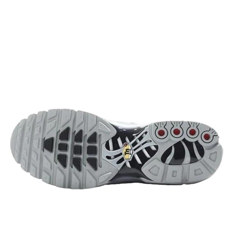 Air Max TN Plus Wolf Grey