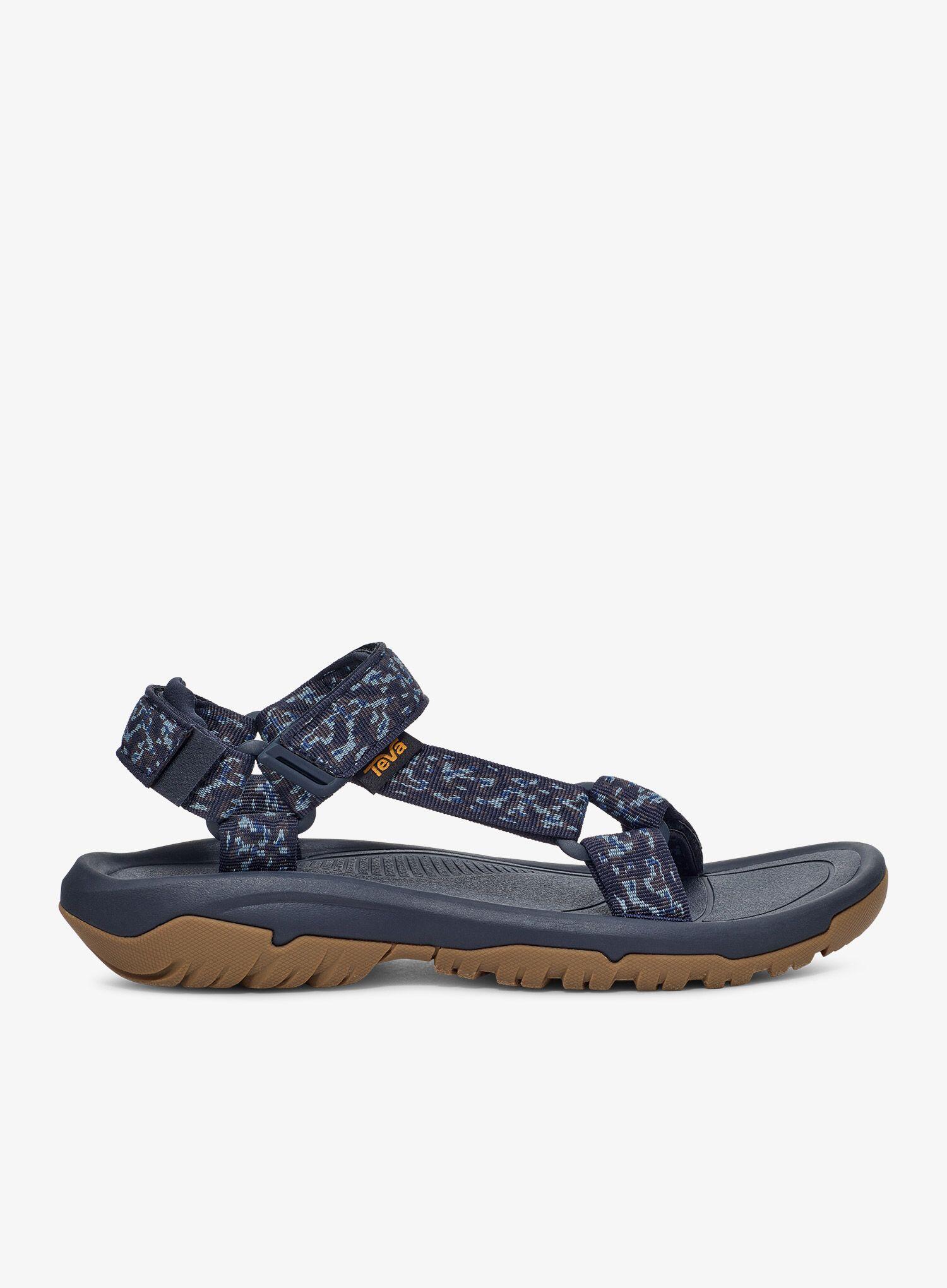 TEVA picture