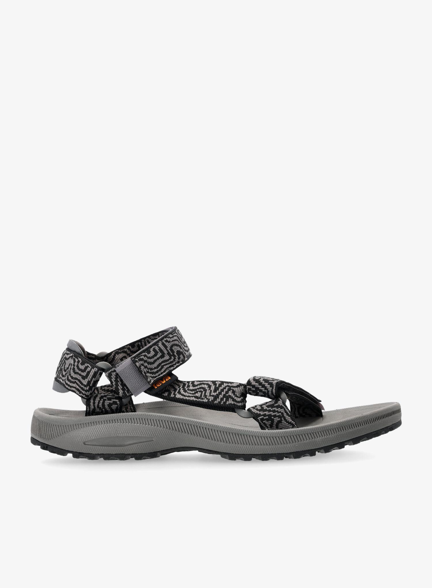 TEVA picture