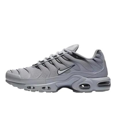 Schuhe Air Max TN Plus Wolf Grey