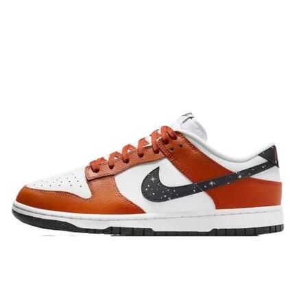 Schoenen Dunk Low Night Sky