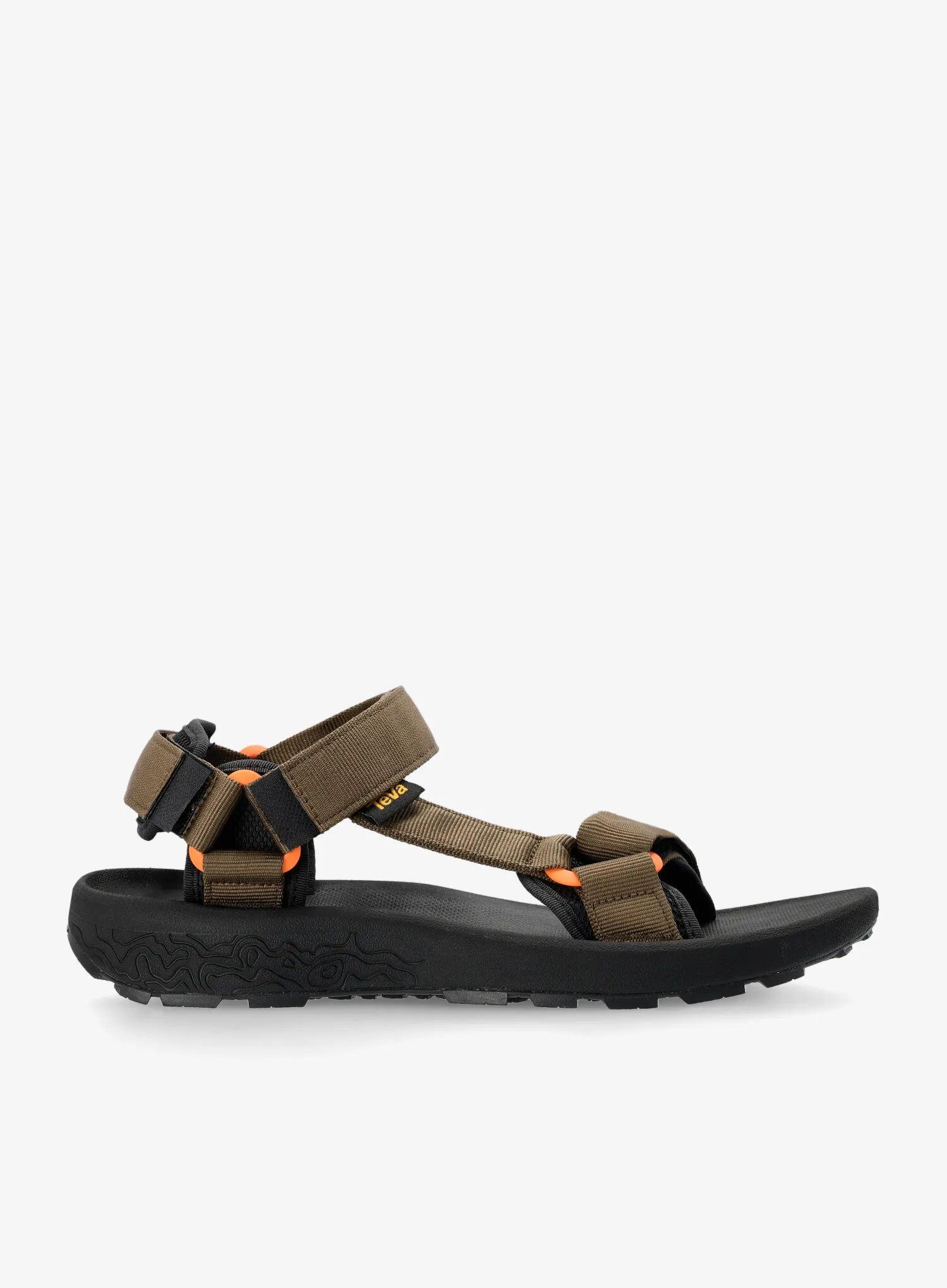 TEVA picture