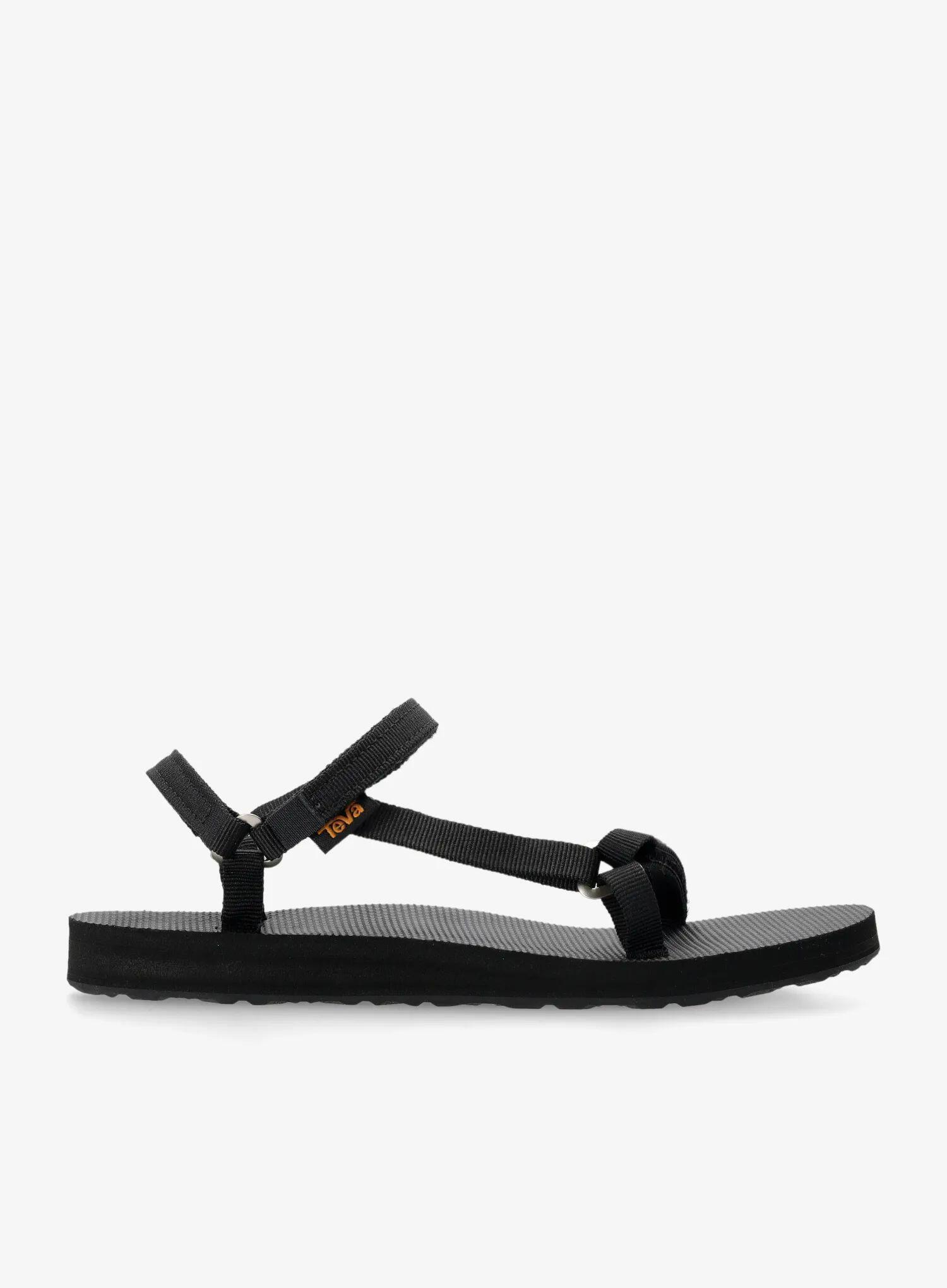 TEVA picture